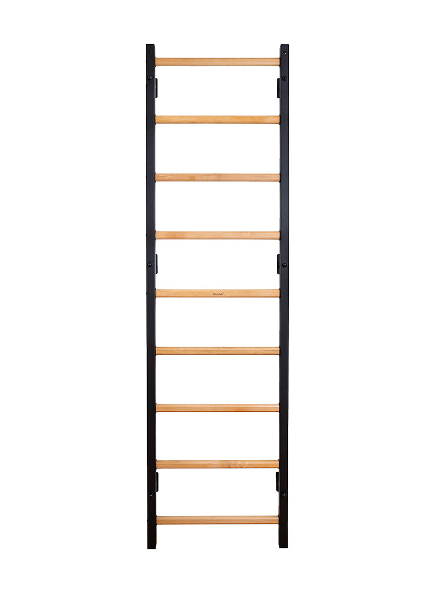 Gimnastikos sienelė BenchK 700B (juoda)